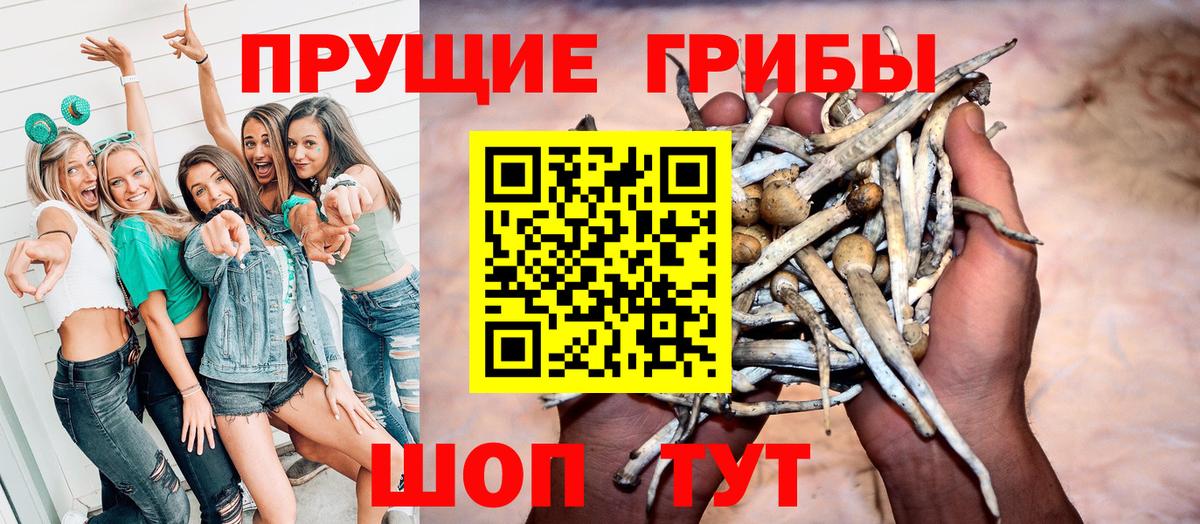 Псилоцибиновые грибы Psilocybe  Вход с VPN  Омск 